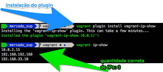 vagrant-ip-show install and usage