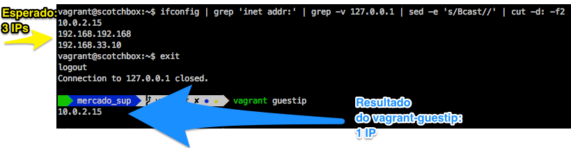 vagrant-guestip inconsistente